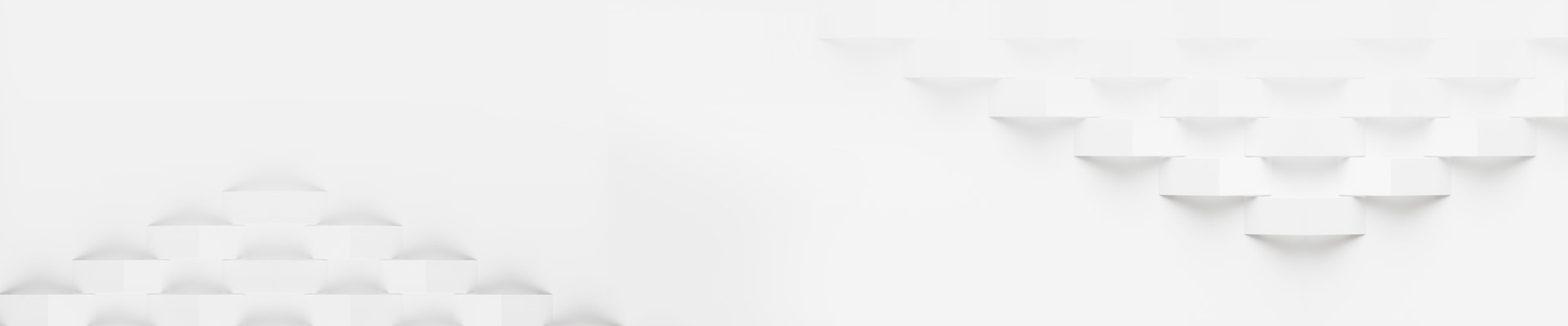 Company Profile